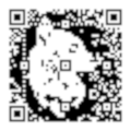 QR serieux