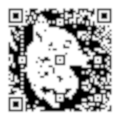 QR visionnaire